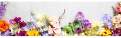 An arrangement of colorful flowers.